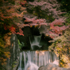 洛塞