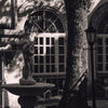 Live that recollects -IV