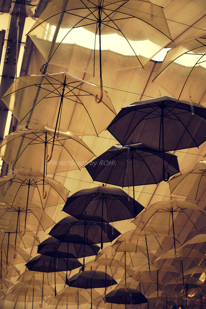 Escape the Rain