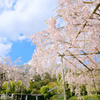 久萌に凪がれて