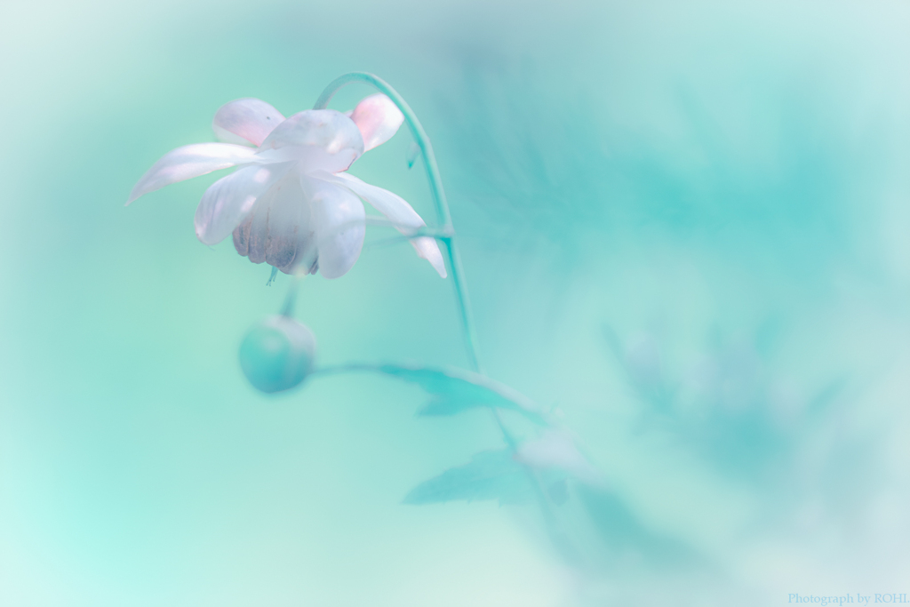 玉響（たまゆら）