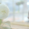 花澄 -3