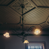 Roots Adorn Ceiling