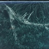 Ambiguous memory