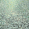 Secret Path