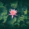 Sorrow intimately