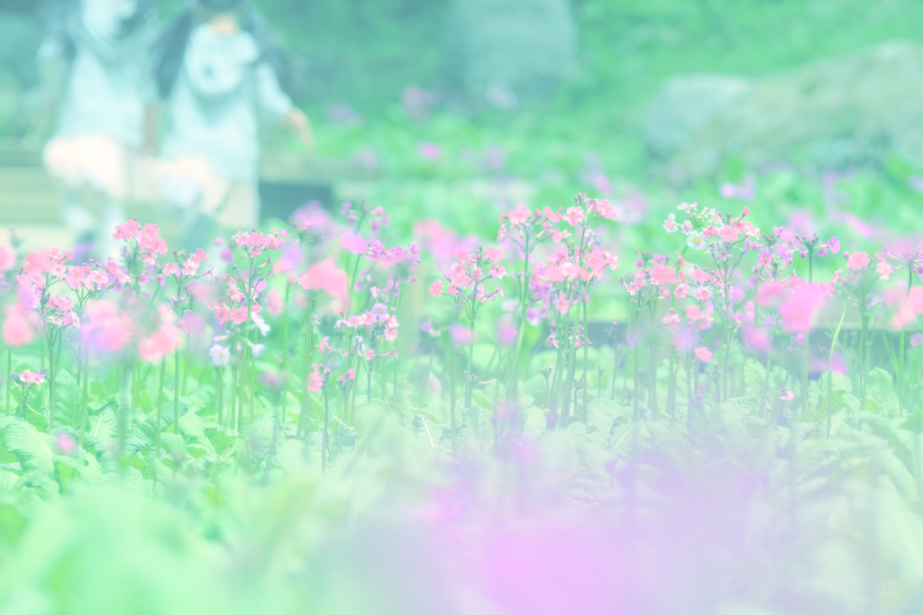 To Heart