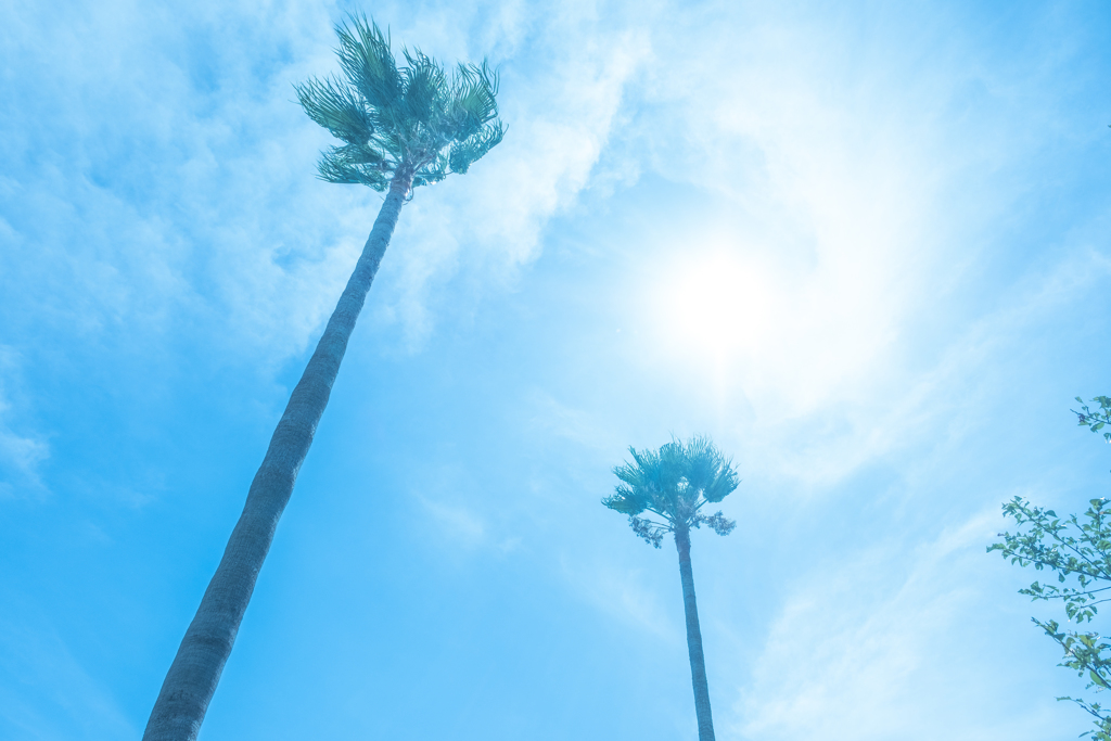 Blue sunshine