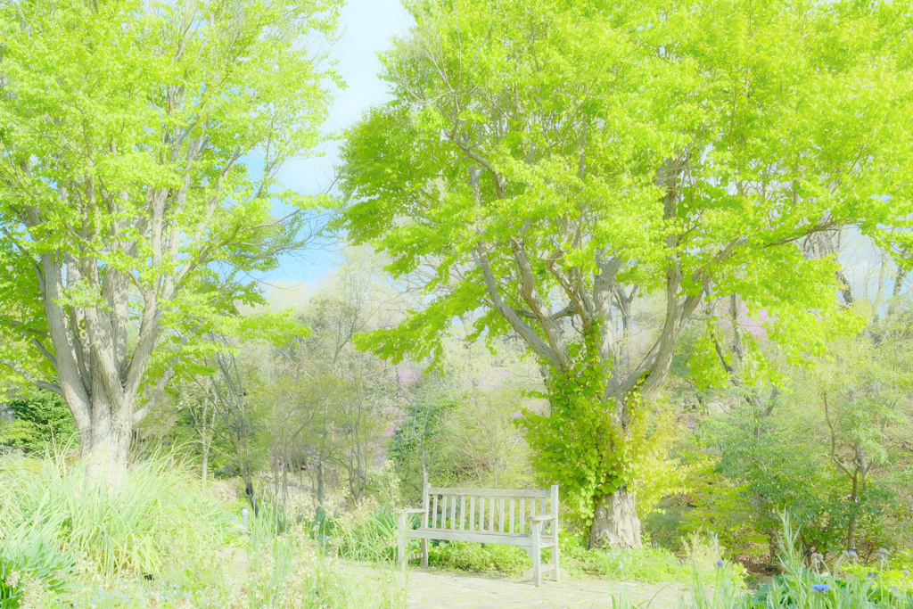 LIKE THE WIND