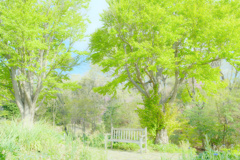LIKE THE WIND