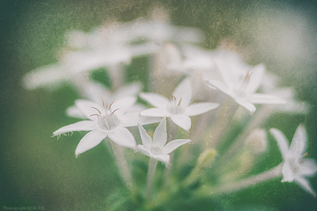 放たれに即して