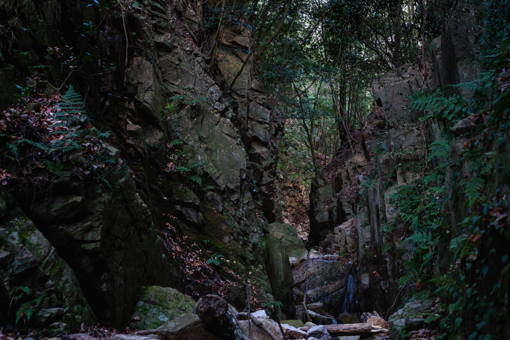 Rock roaring a rock