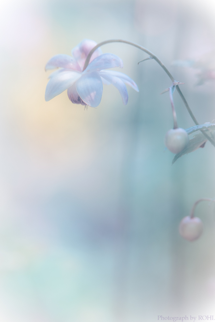 隠口（こもりく）
