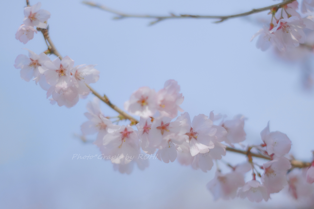 Shallow Spring Sky