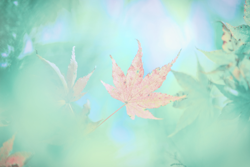 はんなりえーる