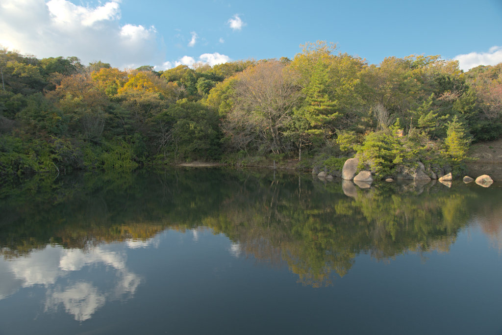 陽だまりの池畔