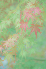 填辿