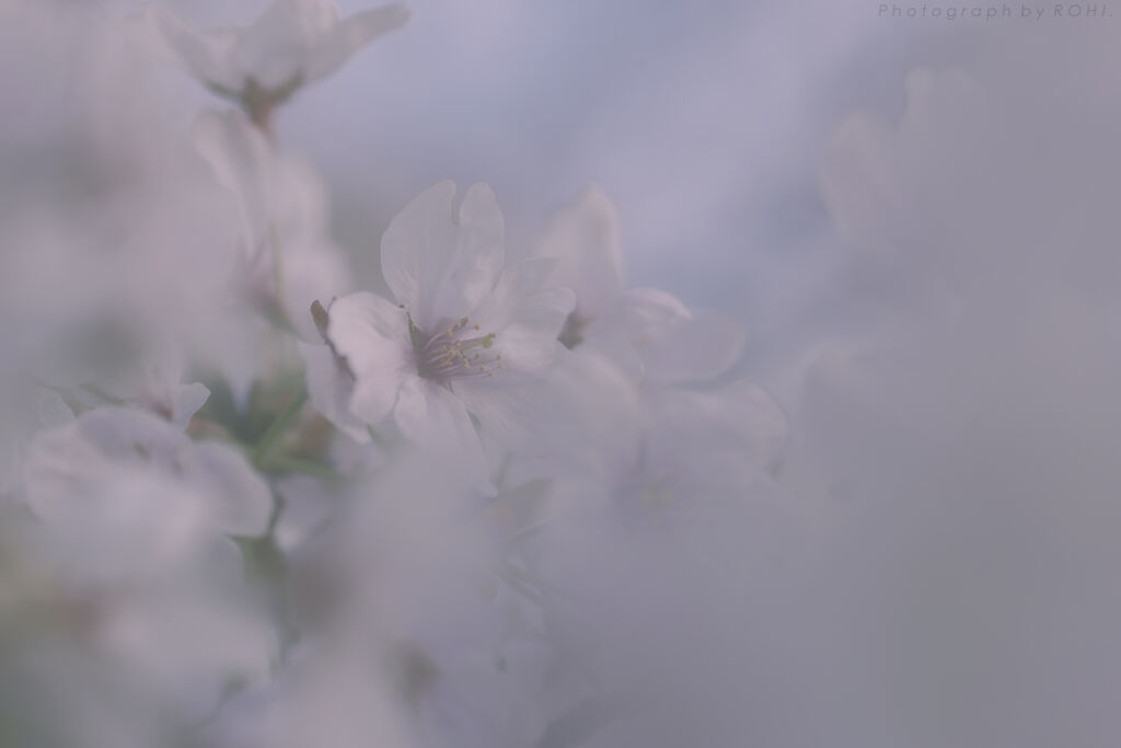 阿銘聰 -7