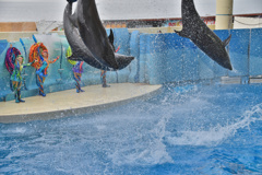 crescent jump