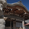 神山秘仏の護り寺