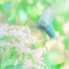 le bonheur supreme