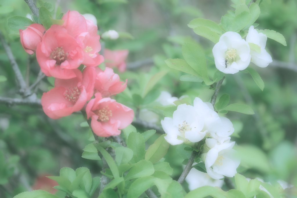 MOISTURE IN TENDERNESS