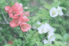 MOISTURE IN TENDERNESS