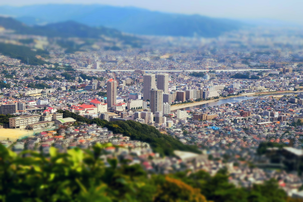 風来鳥瞰
