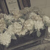 Live that recollects -XVII