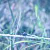 Blurry Eyes