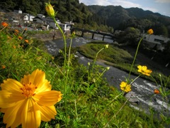 残暑が残る香嵐渓