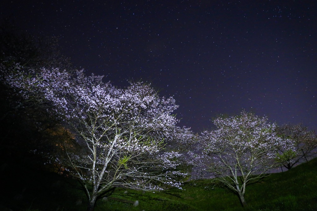 星空の下に咲く①