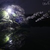 桜咲くころ