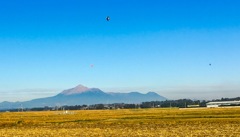 年の瀬の朝、気球飛んでます