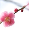 和を感じる