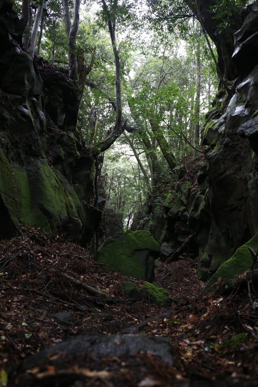 神ヶ溝