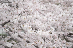 吸い込まれるような