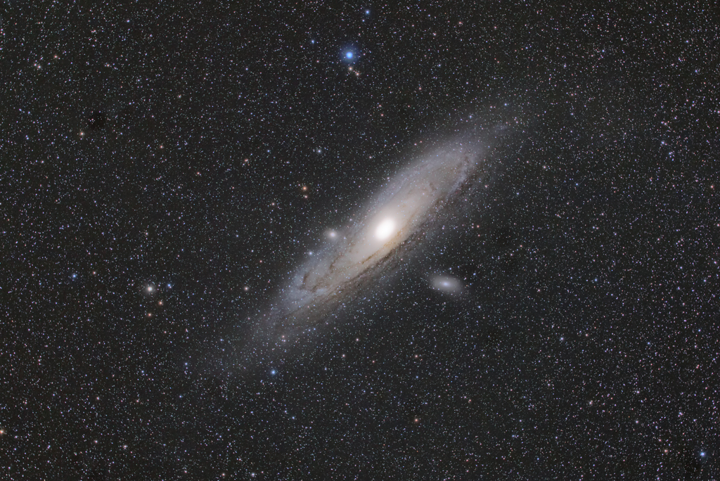 M31