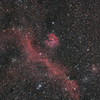 カモメ星雲