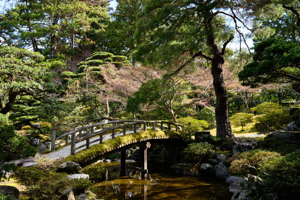 京都御所・庭