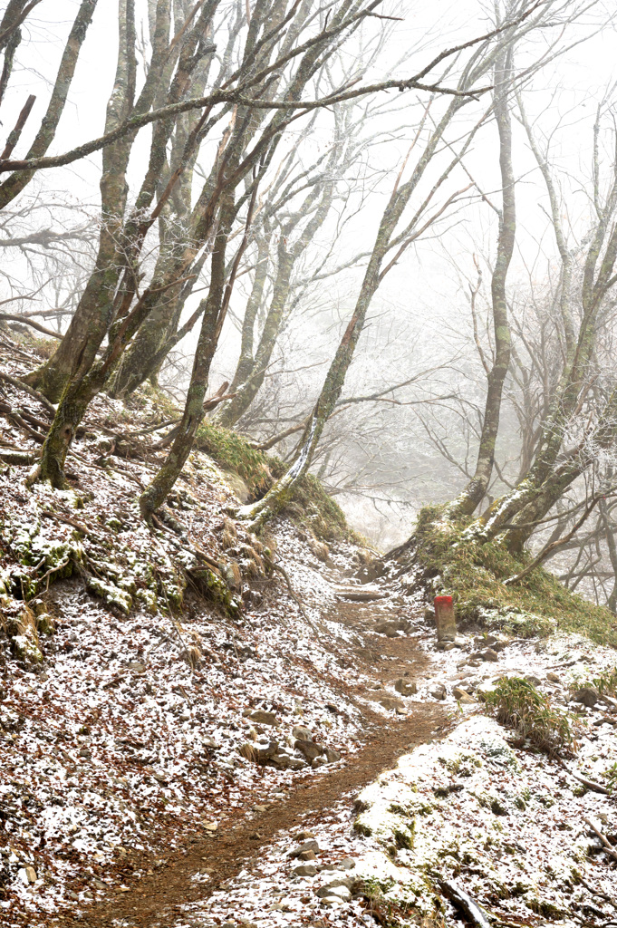 ガスの中の登山道