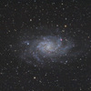 M33