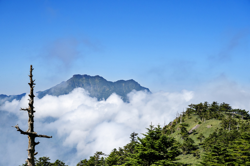 瓶ヶ森から石鎚山頂