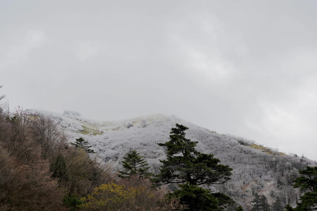 西島駅から剣山山頂ヒュッテを望む