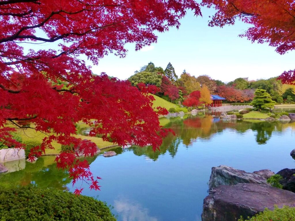 美の極致堺大仙公園の日本庭園