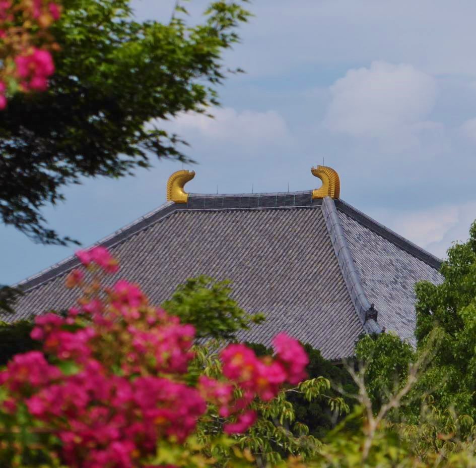 東大寺と百日紅