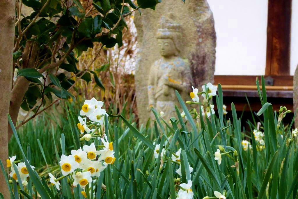 奈良般若寺の石仏と水仙