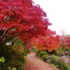 美の極致堺大仙公園の日本庭園