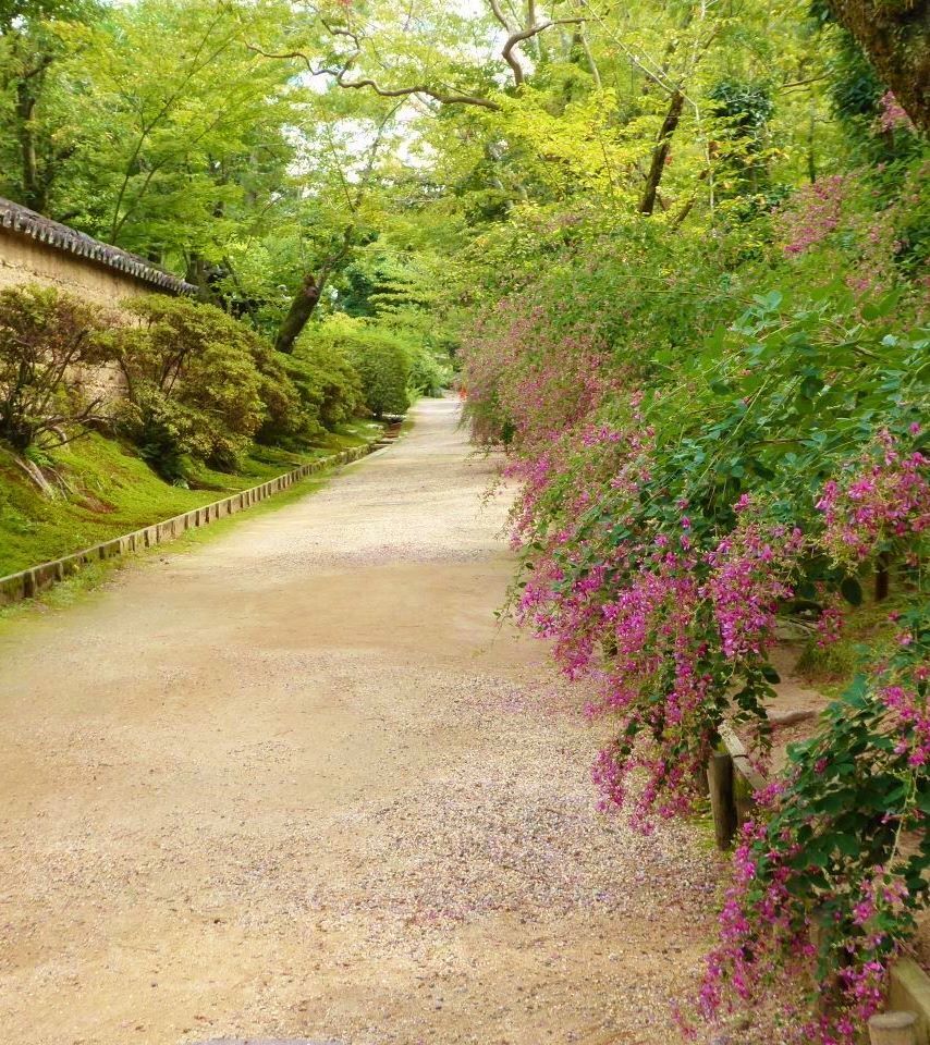 萩の聖地奈良唐招提寺