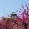 大阪城の残り梅